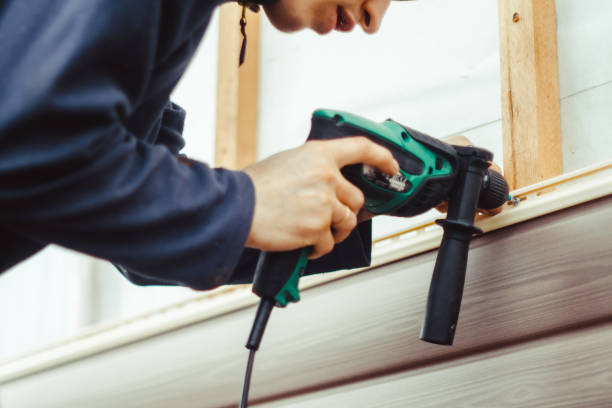 Affordable Siding Repair and Maintenance Services in Panora, IA